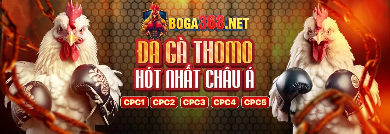 Khám phá thế giới giải trí đỉnh cao cùng bi888 casino