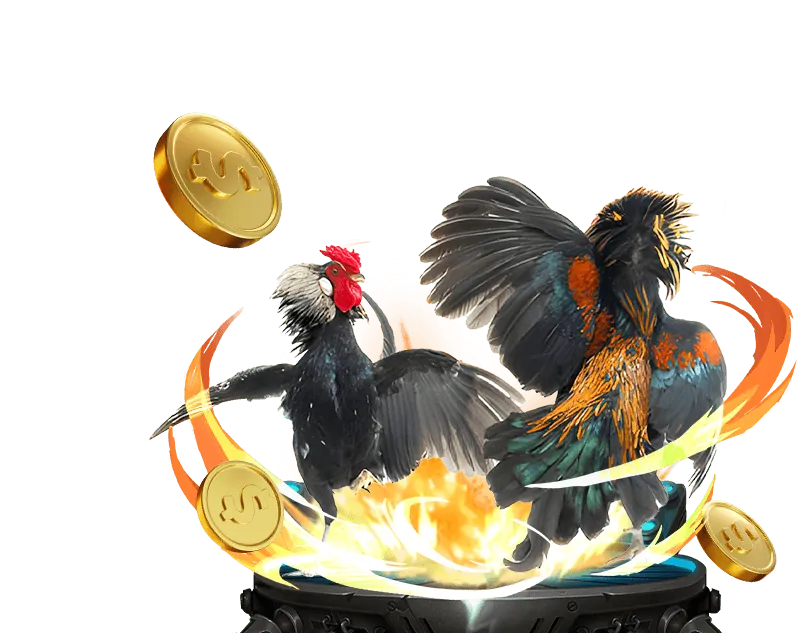 Thưởng nạp tiền hàng ngày tại bi888 casino